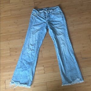 Wild Fable Light Blue Flare Jeans with Frayed Hem